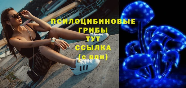 спиды Алексеевка