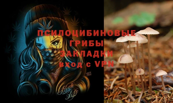 2c-b Алексин